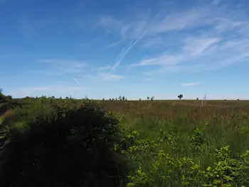 Signal de Botrange (Belgium)